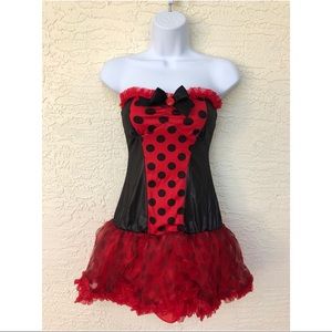 Ladybug Costume